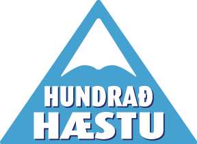 Hundrað hæstu