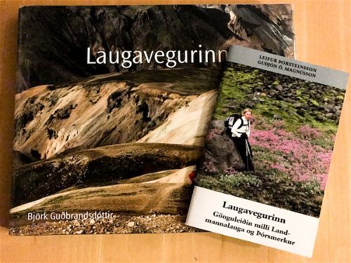 Laugavegurinntilbod.jpg