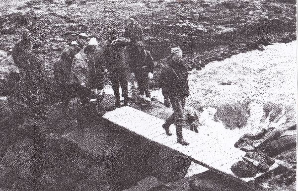 Ljosa_1981-opt.jpg