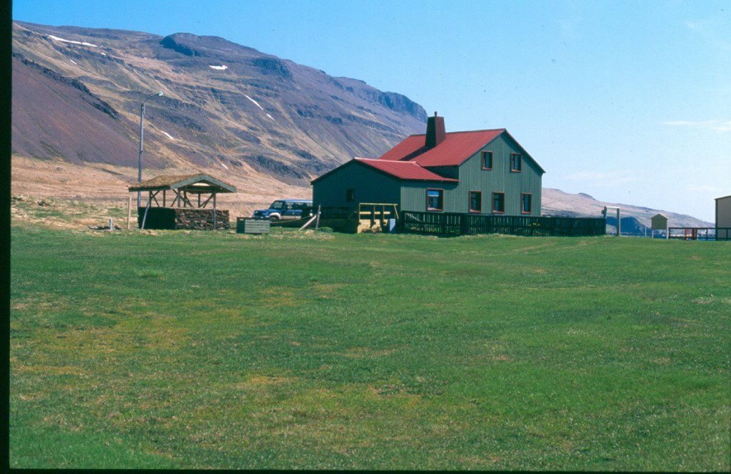 n6.jpg