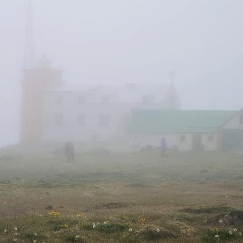 Hornbjargsviti í þoku