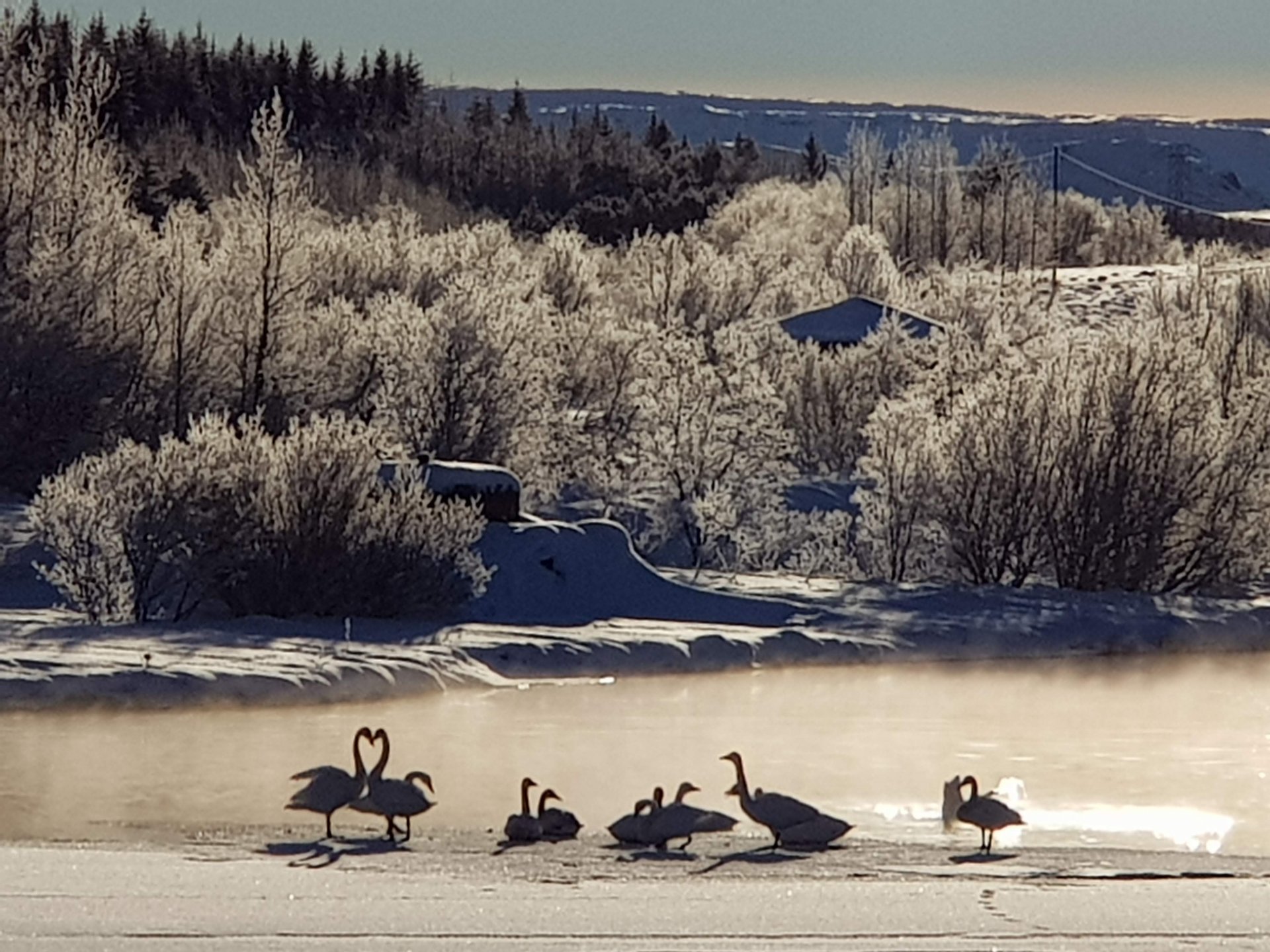 Höfuðstöðvar Ferðafélags Íslands eru úti í náttúrunni.