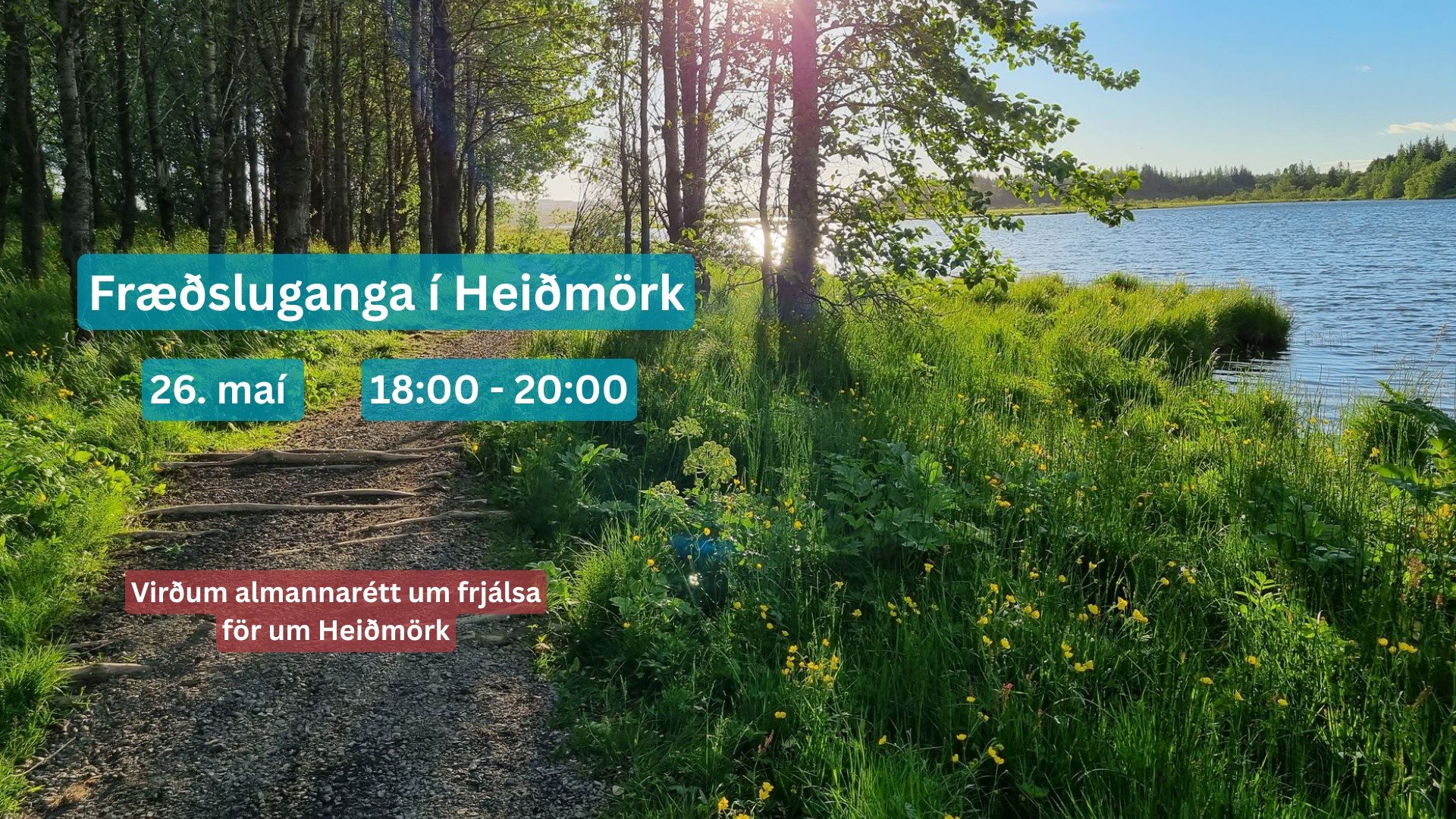 Fræðsluganga í Heiðmörk í dag kl. 18 