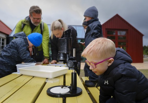 Ferð