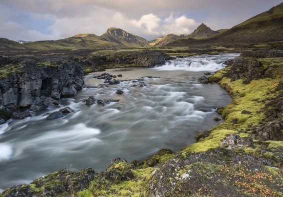 Ferð