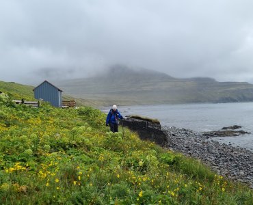 Fréttir
